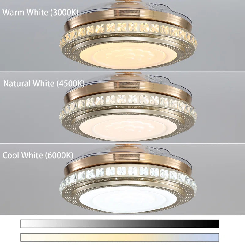 Diep 3-blade LED ceiling fan with remote control from TheChandelierCo, featuring modern design and integrated lighting.