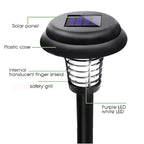 Set of two Droz black low voltage solar pathway lights with integrated LED bulbs for outdoor landscape lighting.