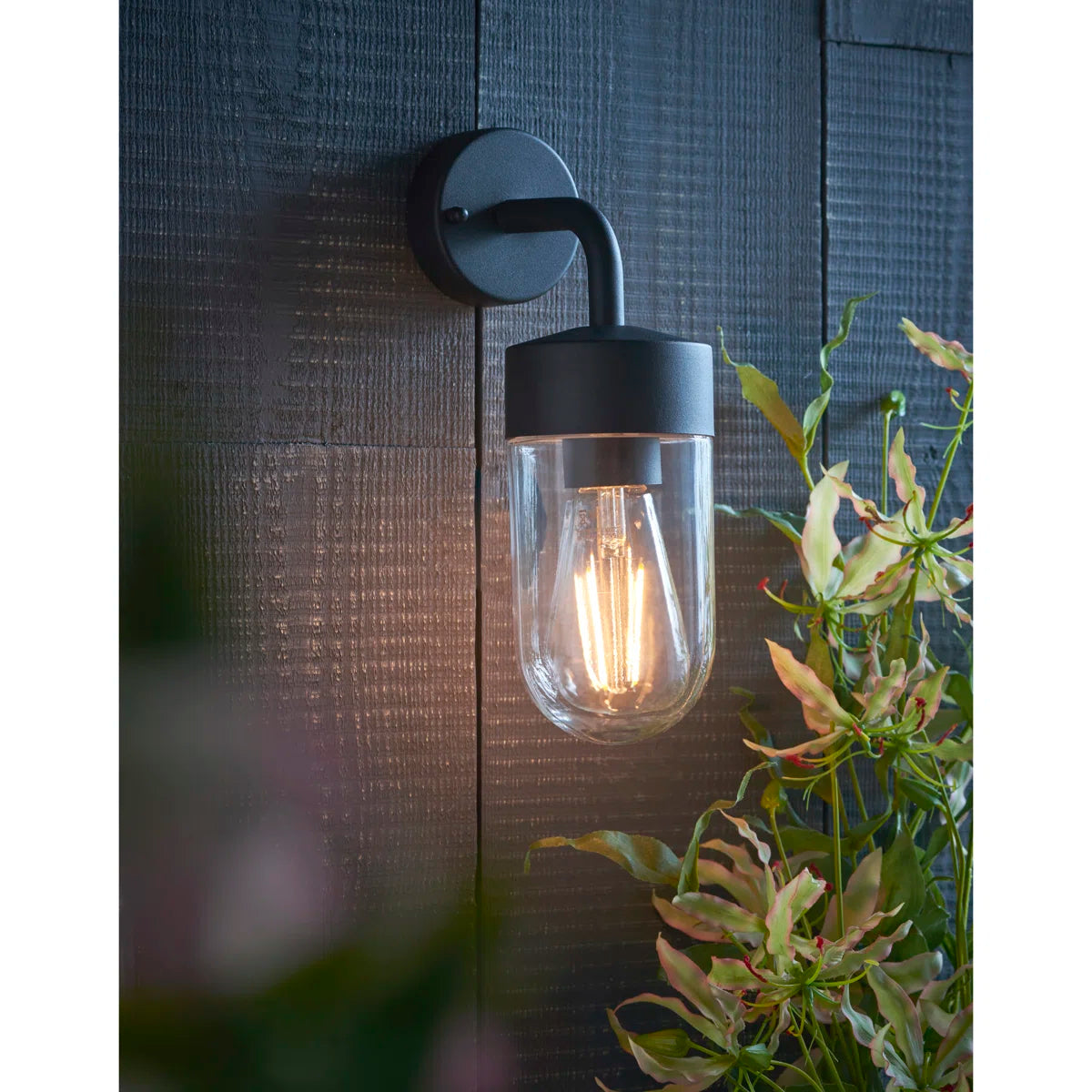 Myla 21cm H outdoor wall lantern by TheChandelierCo featuring a classic black metal frame and clear glass panels.