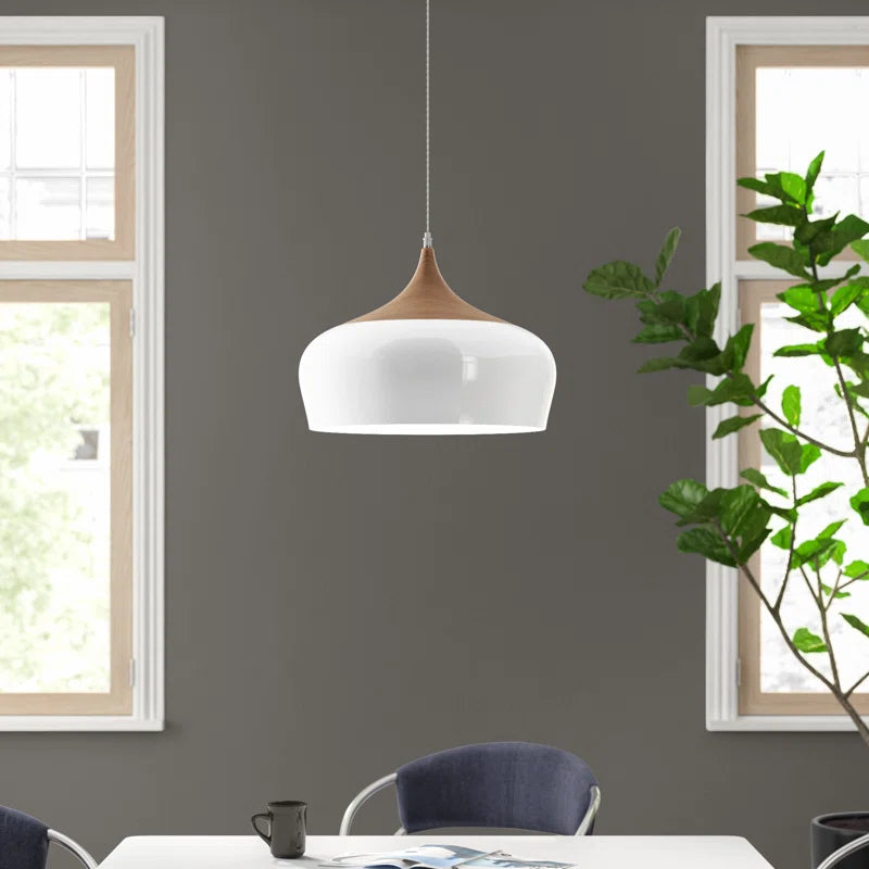 Nataly 1 Light Dome Pendant by TheChandelierCo showcasing a modern ceiling light with a smooth dome shade in a stylish design.
