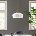 Nataly 1 Light Dome Pendant by TheChandelierCo showcasing a modern ceiling light with a smooth dome shade in a stylish design.