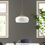 Nataly 1 Light Dome Pendant by TheChandelierCo showcasing a modern ceiling light with a smooth dome shade in a stylish design.