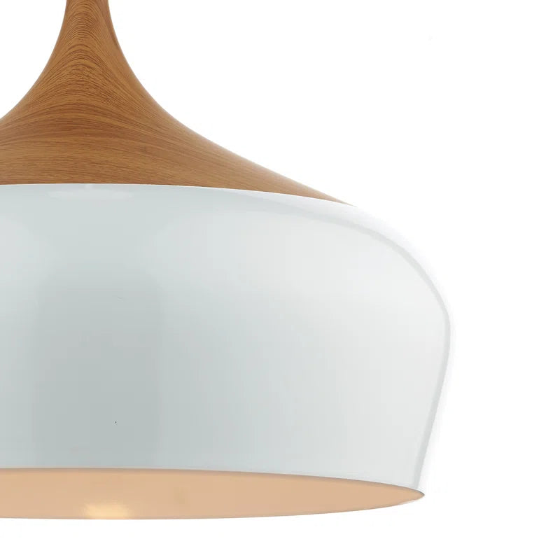 Nataly 1 light dome pendant by TheChandelierCo featuring a sleek, modern design with a glass dome shade and metal fixture.