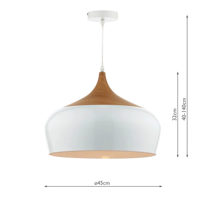 Nataly 1 light dome pendant by TheChandelierCo hanging with a modern design and warm light, showcasing its sleek fixture.