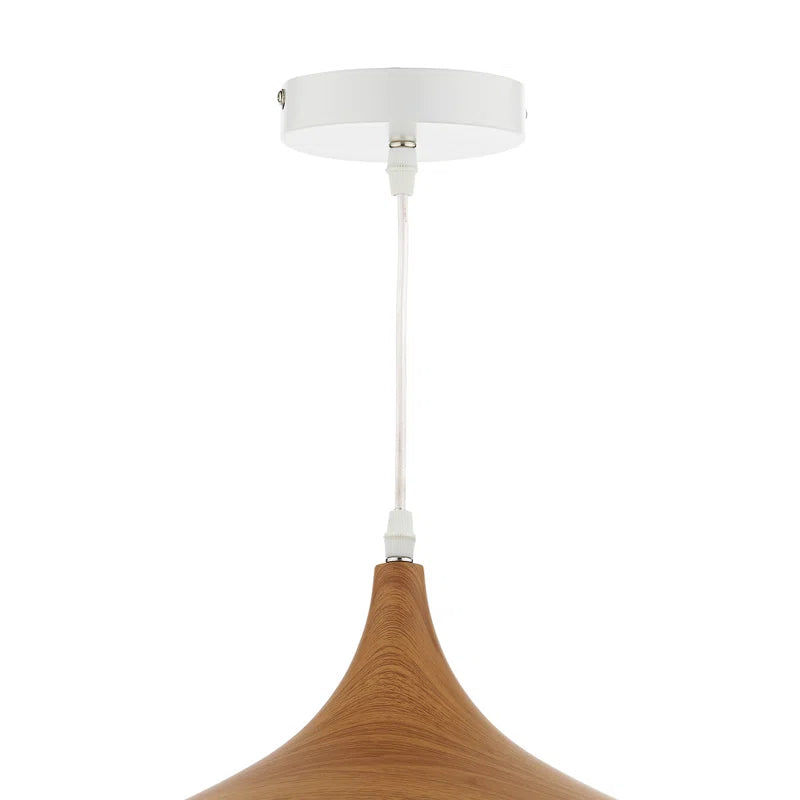 Nataly 1 Light Dome Pendant by TheChandelierCo featuring a sleek, modern design with a smooth dome-shaped shade hanging from a stylish fixture.