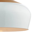 Nataly 1 Light Dome Pendant by TheChandelierCo featuring a sleek, modern design with a light-colored dome shade hanging from a simple fixture.