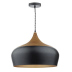 Nataly 1 light dome pendant from TheChandelierCo featuring a sleek, modern design with a smooth, rounded glass shade.