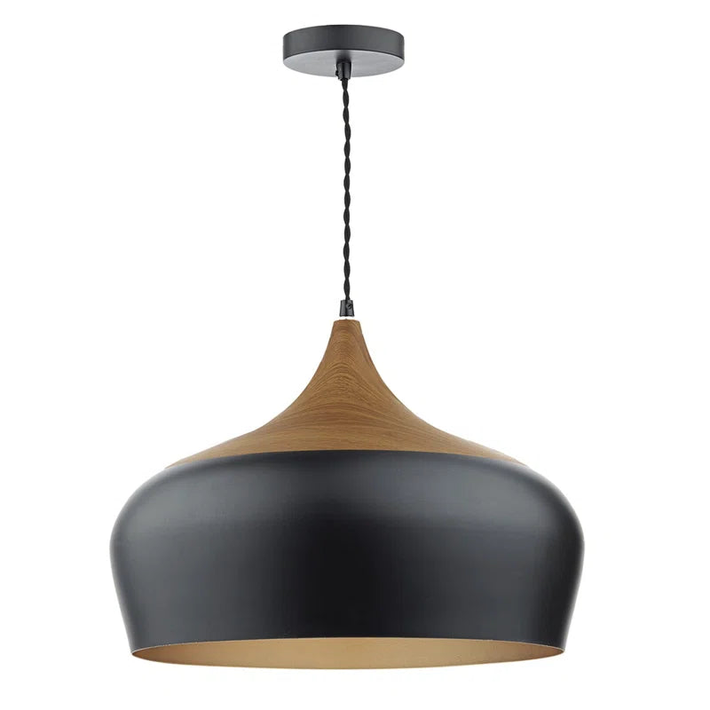 Nataly 1 light dome pendant from TheChandelierCo featuring a sleek, modern design with a smooth, rounded glass shade.