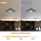 Light black Skookum 1 single pendant light by TheChandelierCo hanging from a ceiling with a sleek modern design.
