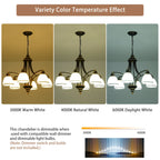 6 - Light Dimmable Classic / Traditional Chandelier